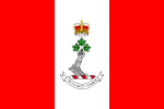 Flag of the Royal Military College of Canada